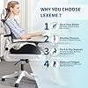 X-Large Memory Foam Seat Cushion & Lumbar Support Pillow for Tailbone - Image 2