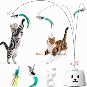 Interactive Cat Toy, USB Rechargeable Flying Bird Feather Wand