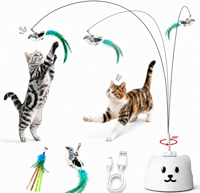 Interactive Cat Toy, USB Rechargeable Flying Bird Feather Wand