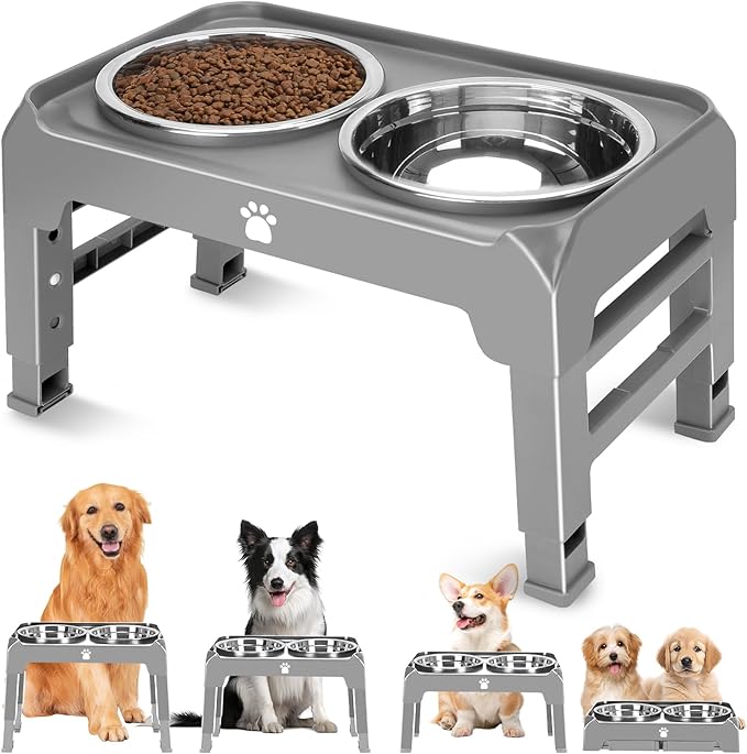 Adjustable Elevated Dog Bowl Stand with 2 Stainless Steel Bowls